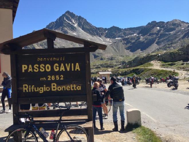 Gavia 1